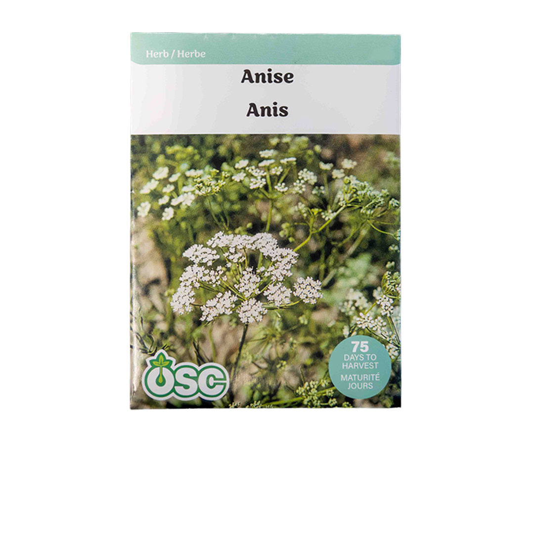 Anise Seeds 3000
