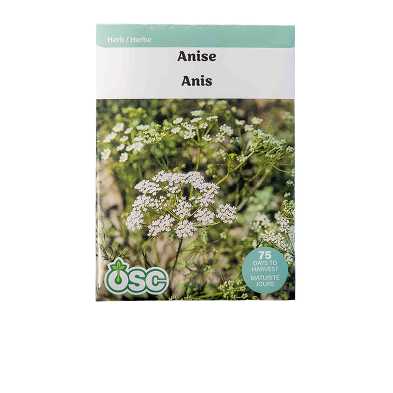 Anise Seeds 3000