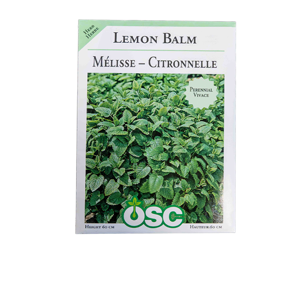 Lemon Balm Seeds 3005