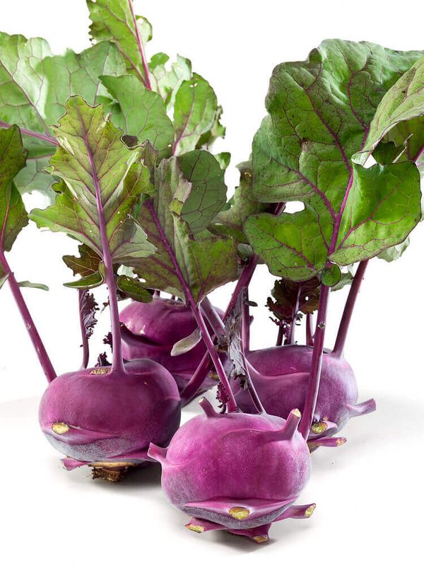 Purple Vienna Kohlrabi Seeds 1705