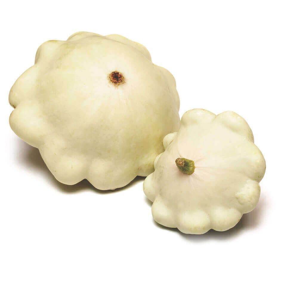 Early White Scallop Squash Seeds 2205