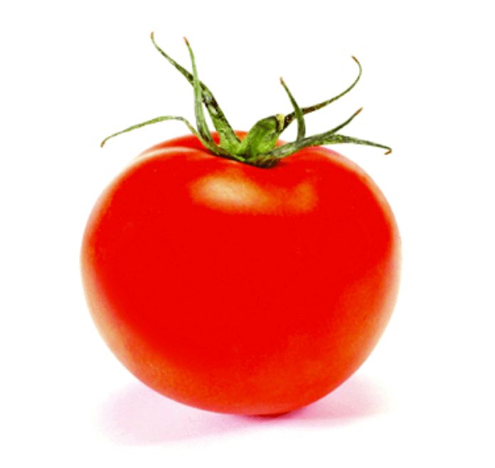 Bonny Best Improved Tomato Seeds 2335