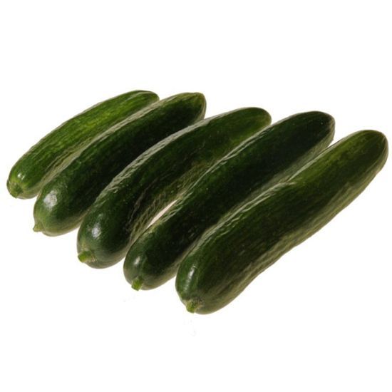 Mercury Hybrid Cucumber Seeds 1665