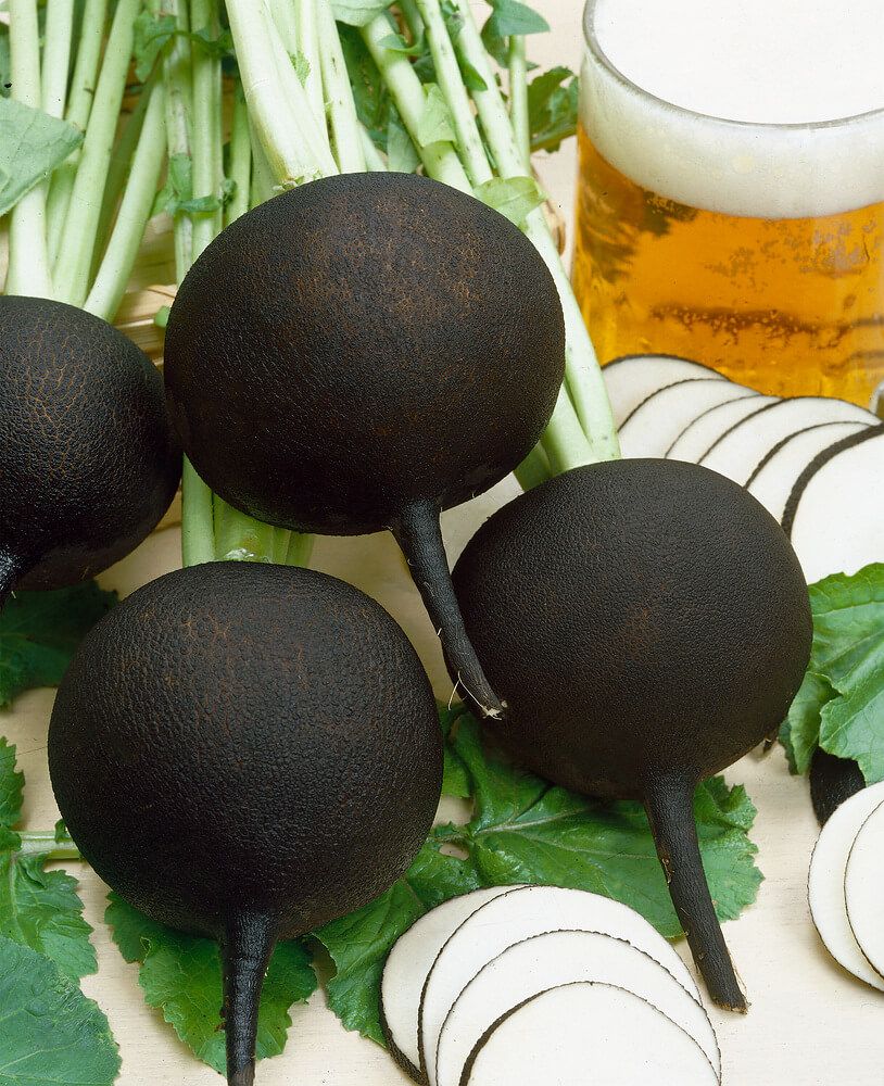 Radish Round Black Spanish - 2140