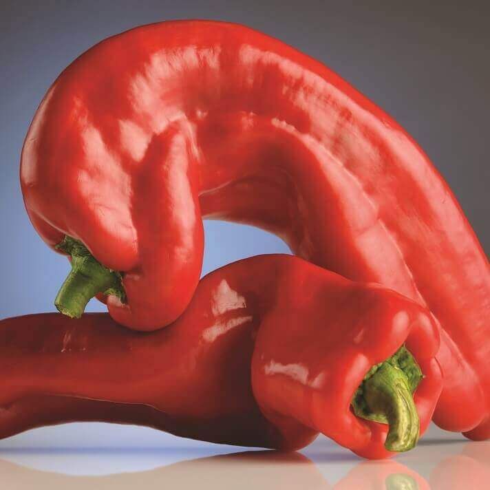Marconi Rosso Pepper Seeds (Ramshorn Type) 1895