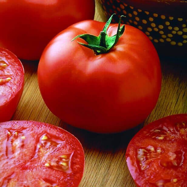 Big Beef Hybrid Tomato Seeds (Italian Type) 2310