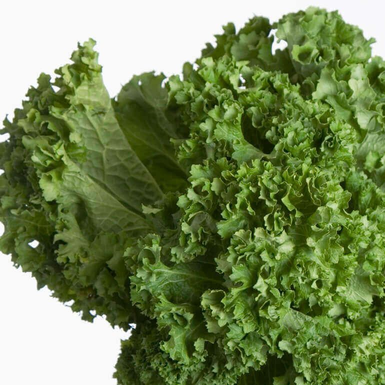 Southern Giant Curled Mustard Seeds 1795