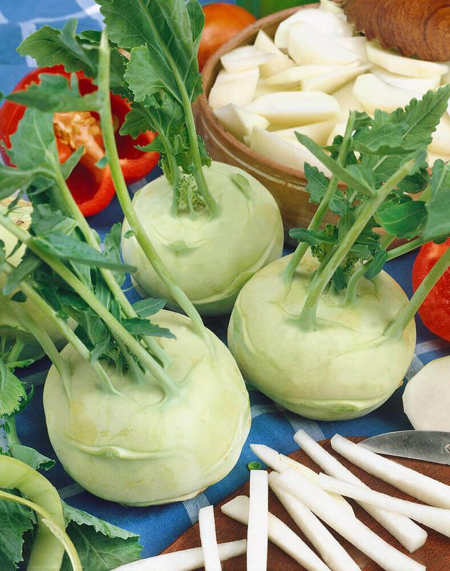 White Vienna Kohlrabi Seeds 1710
