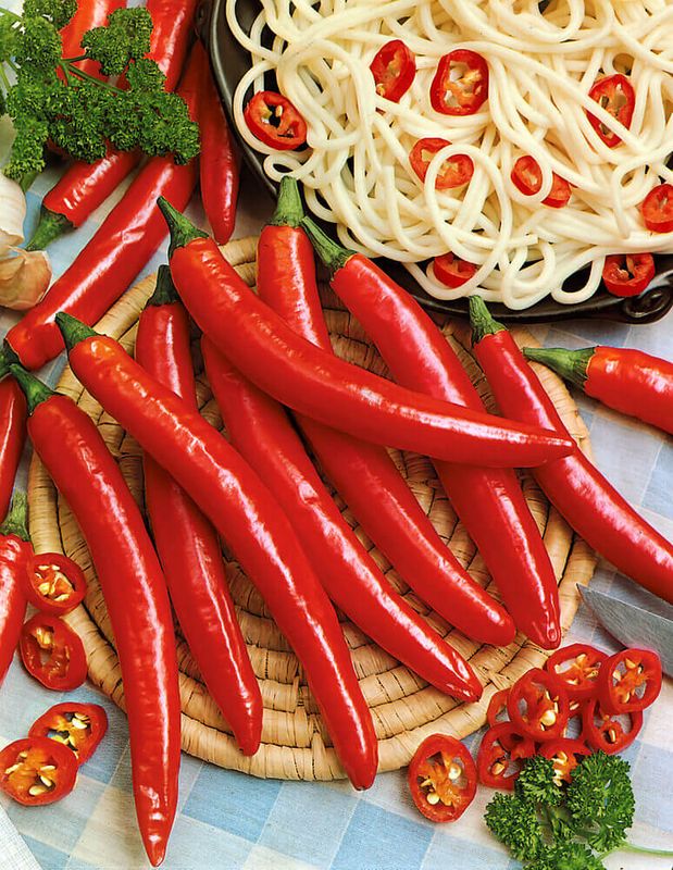 Long Red Cayenne Pepper Seeds (Hot Chili Type) 1935