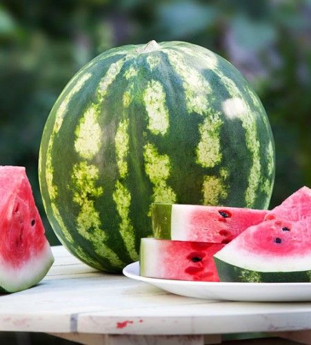 Crimson Sweet Watermelon Seeds 2410