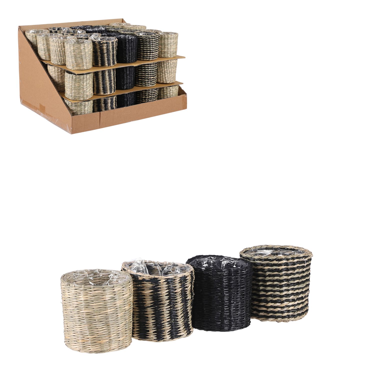 Alexis pot round 4 assorted -