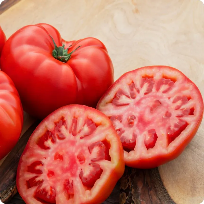 Beefsteak Organic Tomato Seeds