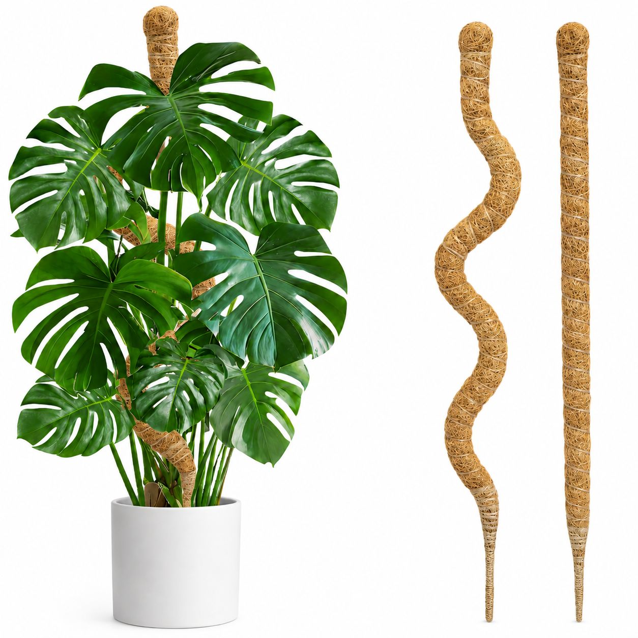Bendable Moss Pole - 30"