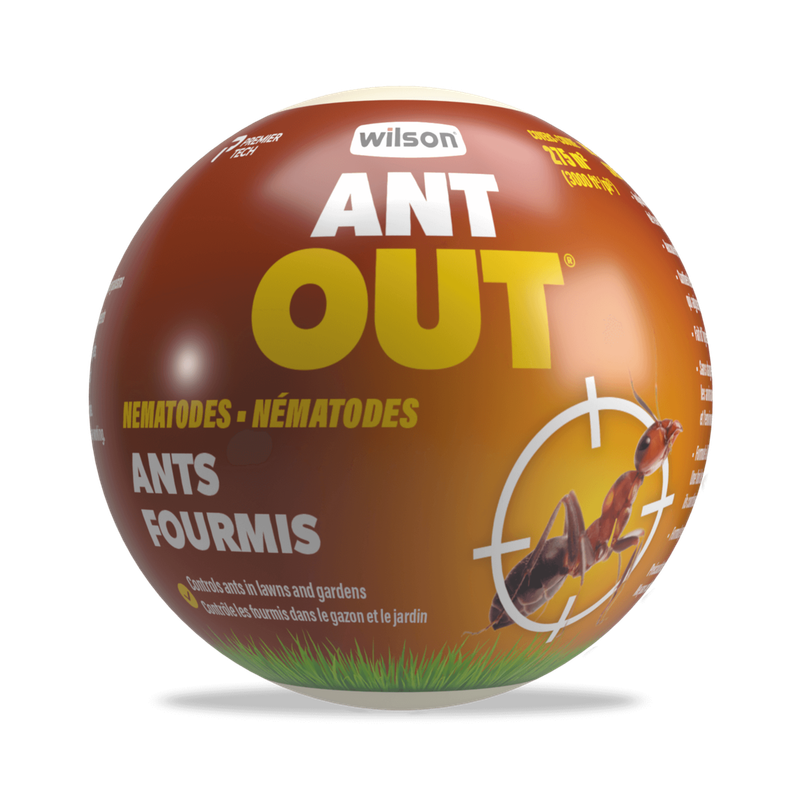 Wilson - AntOut Nematodes for 275 m2 - 1000sq ft - single