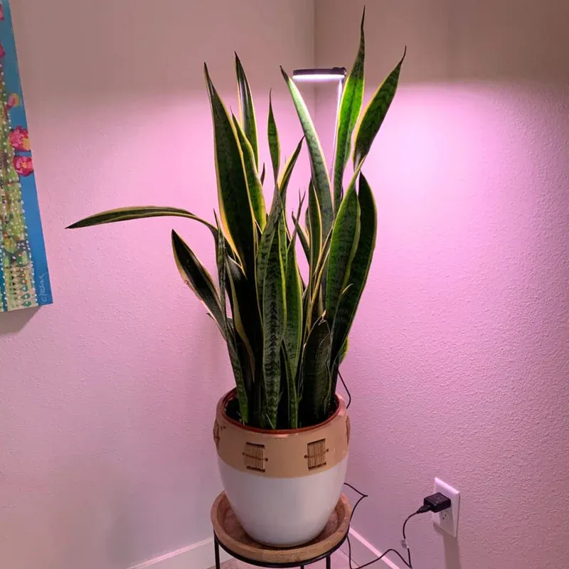 Adjustable LED Plant Light - Black
