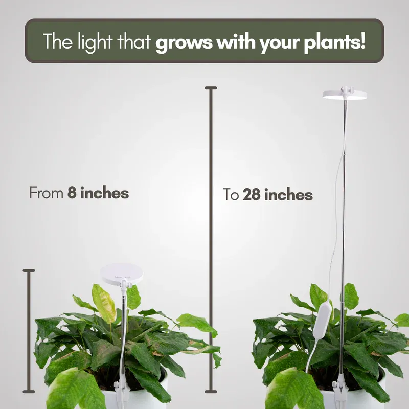 Adjustable LED Plant Light - Black