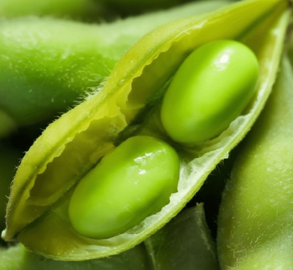 Soy Bean Besweet Seeds 1235 Large Packet (4x5")