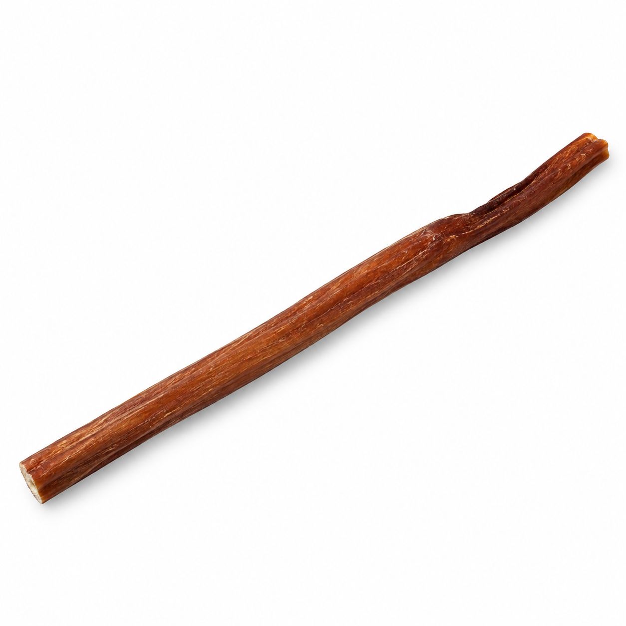 Open Range Water Buffalo Bull Stick 11-12"
