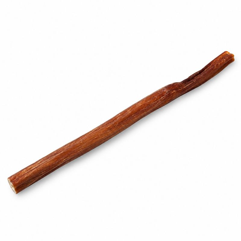 Open Range Water Buffalo Bull Stick 11-12"