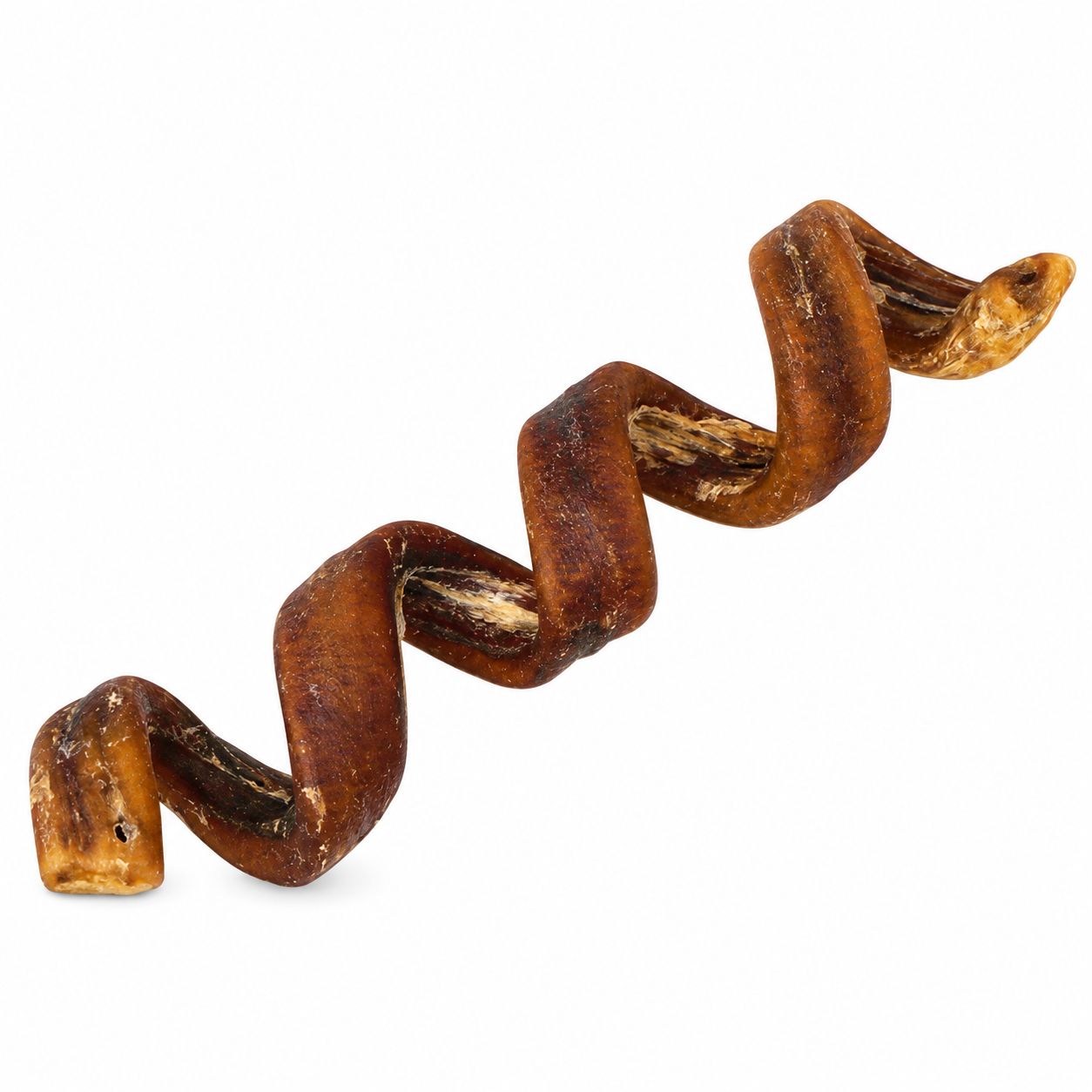 Open Range Water Buffalo Bully Spiral 6-7"