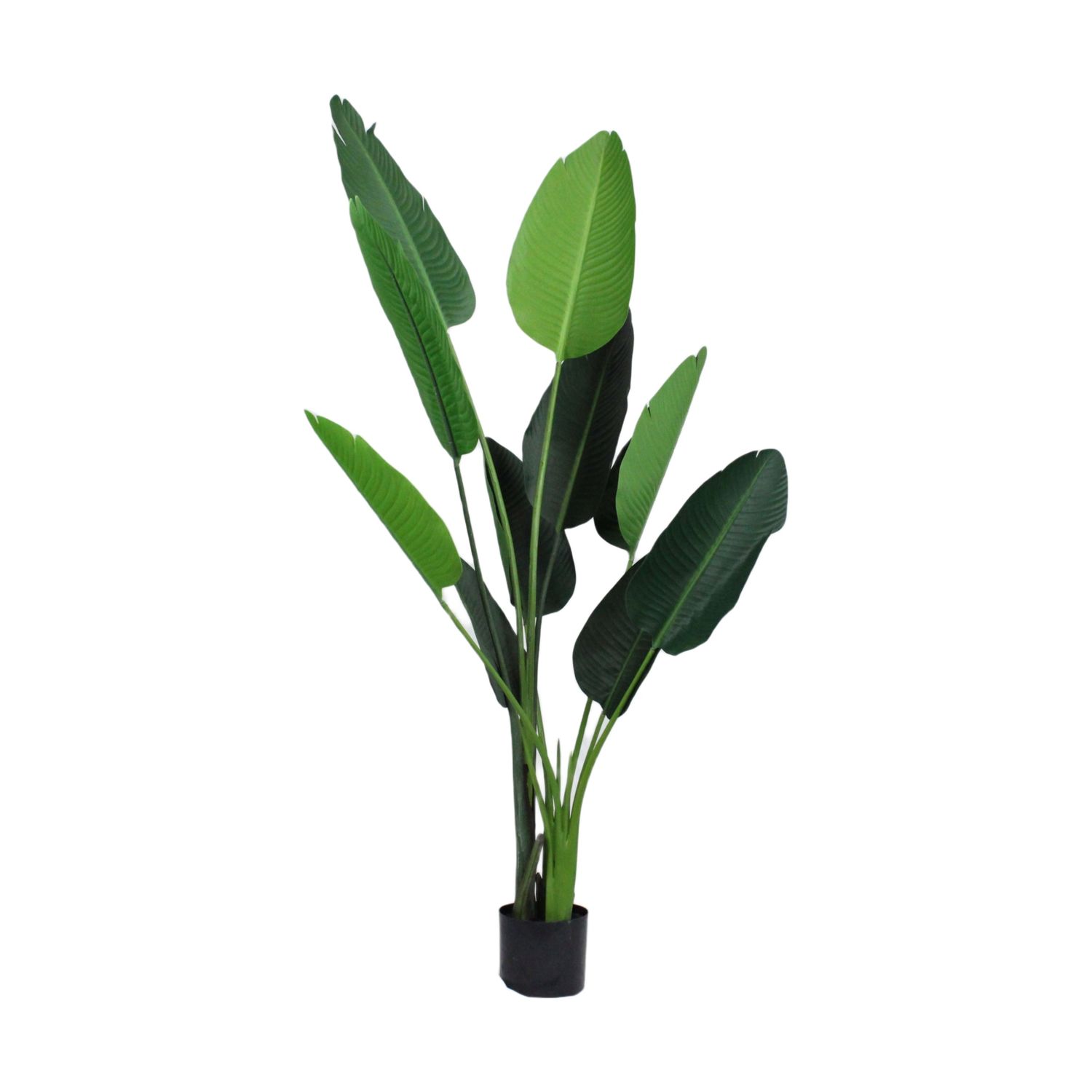 Plant Artificial Strelitzia Plant Artificial Strelitzia
