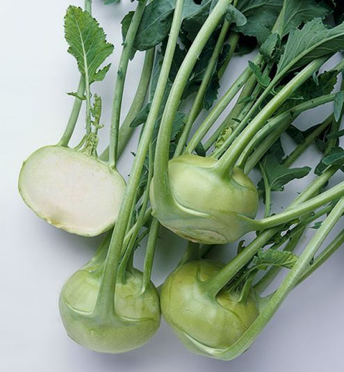 Kohlrabi - Winner (6 Pack)