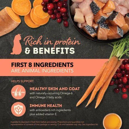 ACANA Cat Chunks in Broth Salmon &amp; Chicken 155g - single