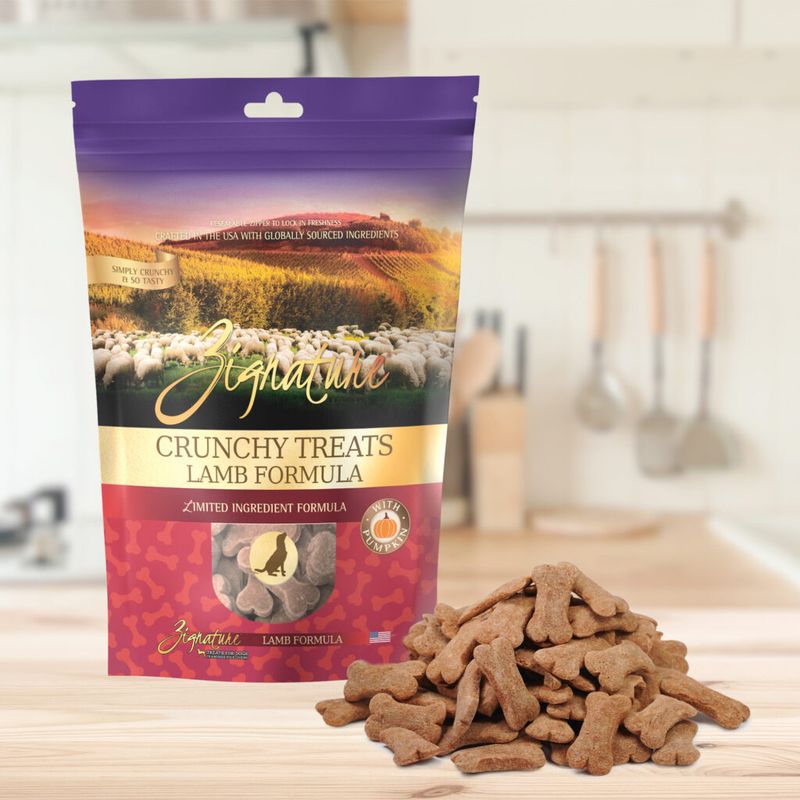 Zignature Dog Ziggy Bars LID Lamb &amp; Pumpkin Treats 12oz