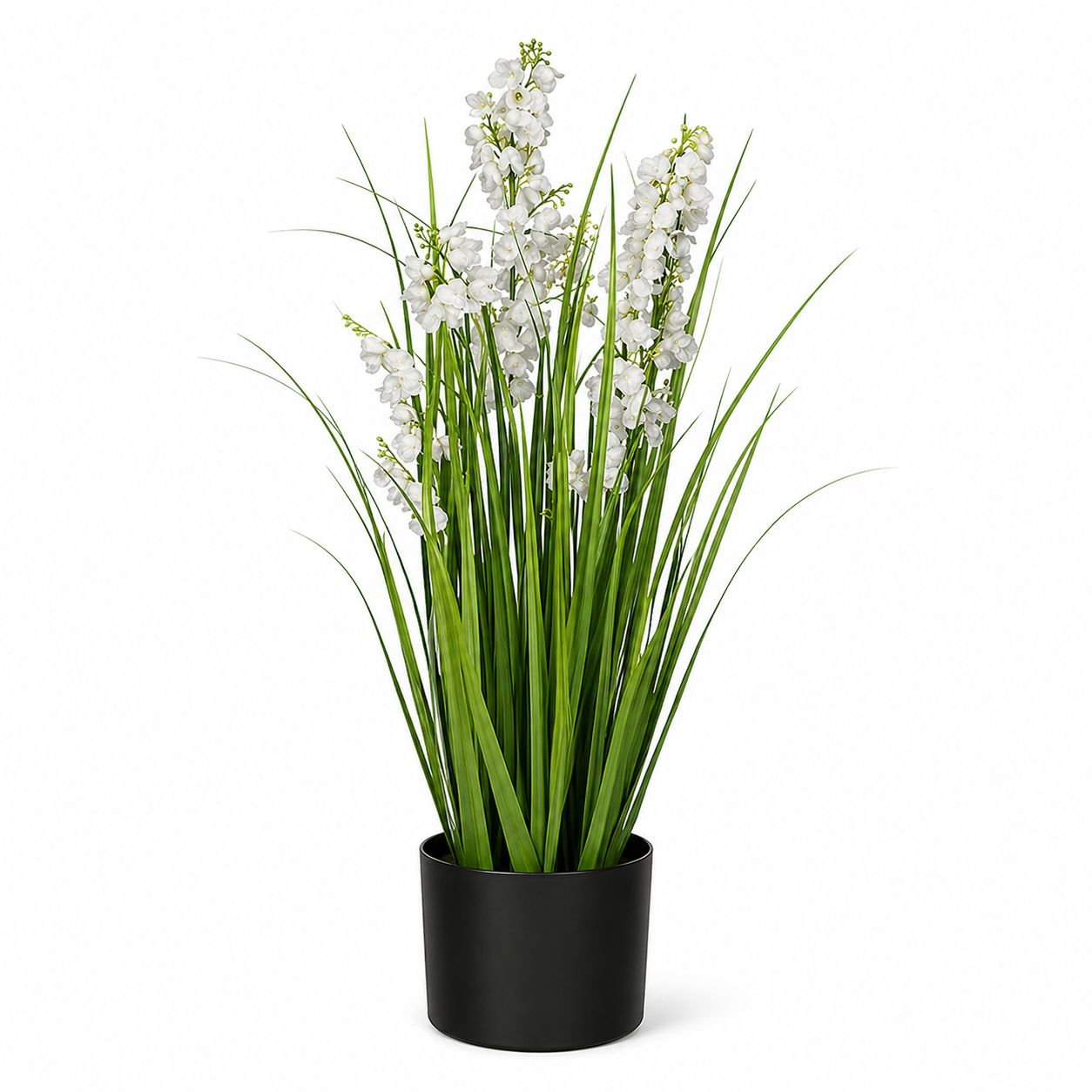 Grass Campanula In Pot White - 150cm