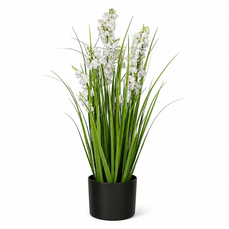 Grass Campanula In Pot White - 78cm