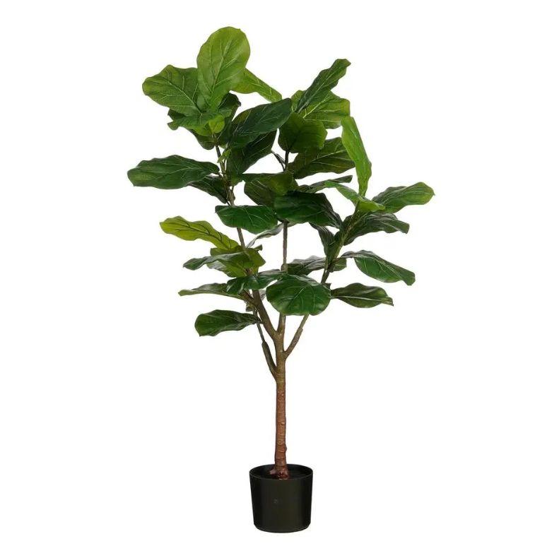 Ficus Lyrata In Pot Green Waterproof &amp; Uv Resistant - 150cm