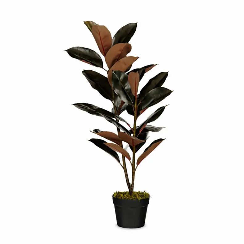 Rubber Plant In Pot Red - 90cm