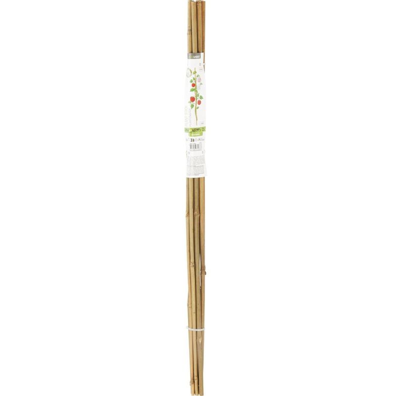 Bamboo Garden Stick Set of 10 Pieces