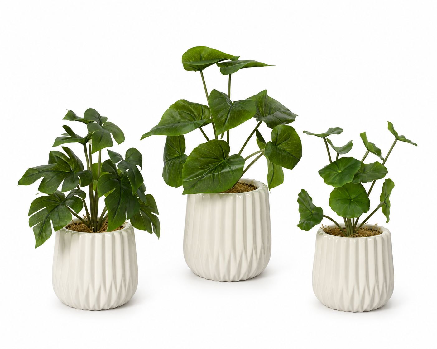 Artificial Plant In Pot 3 Assorted 28cm Artificial Plant In Pot 3 Assorted 28cm