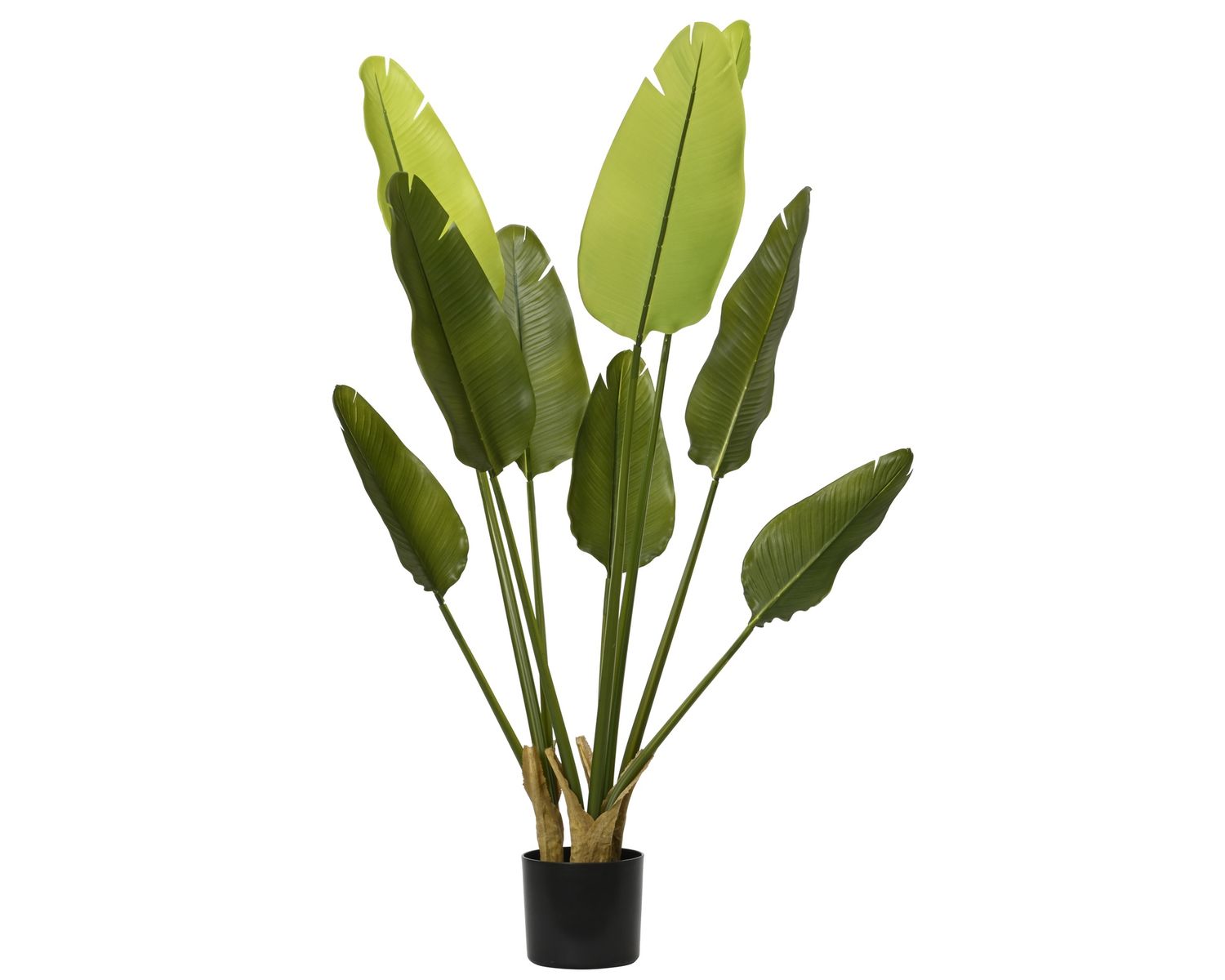 Artificial Strelitzia In Pot 120cm Artificial Strelitzia In Pot 120cm