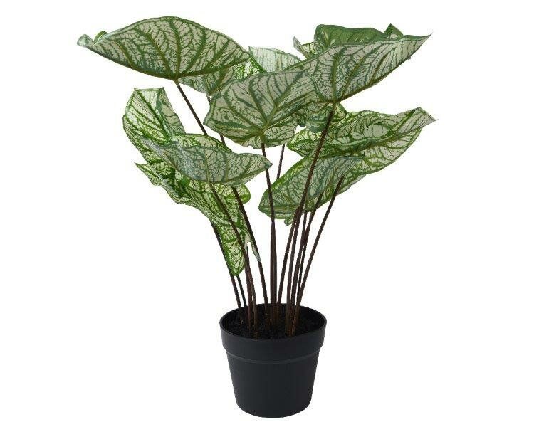 Artificial Plant In Pot 50cm Artificial Plant In Pot 50cm