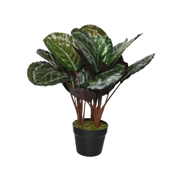 Artificial Calathea in Pot 47cm