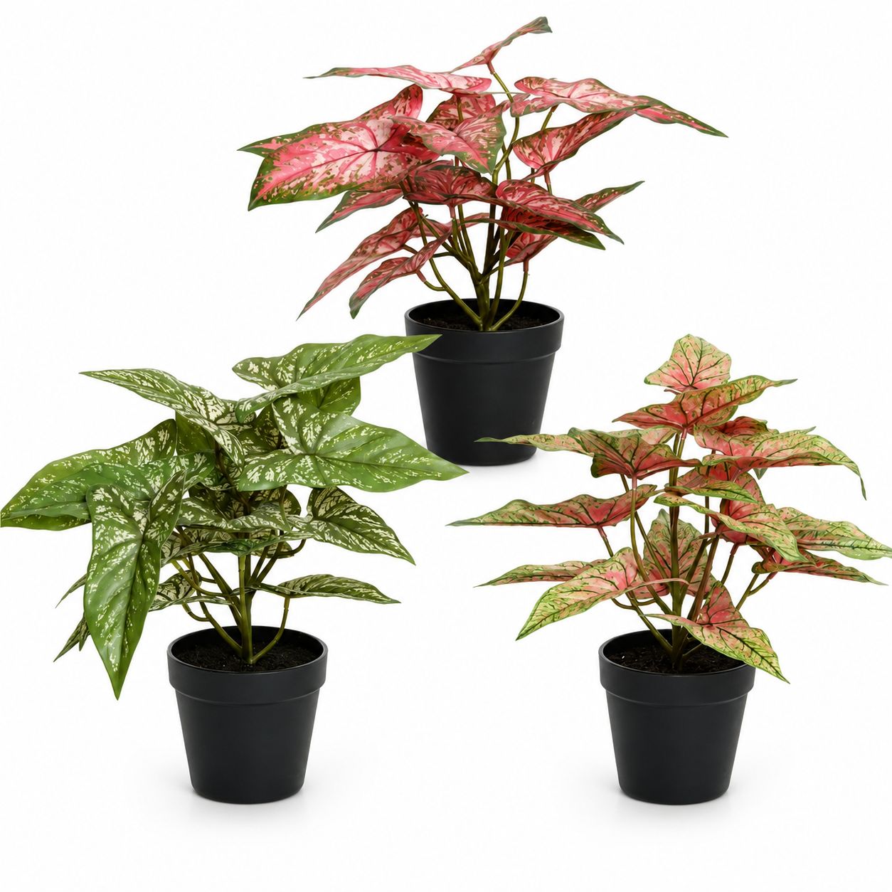Artificial Plant in Pot 3 Assorted 37cm