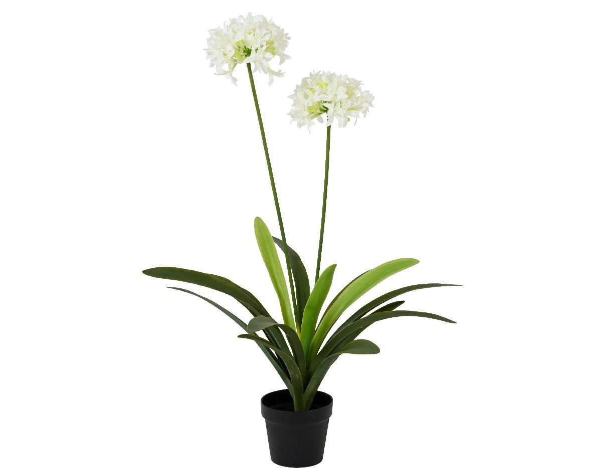 Artificial Agapanthus in Pot 105cm