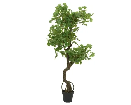 Artificial Gingko in Pot 150cm