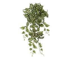 Artificial Bush Tradescantia 80cm