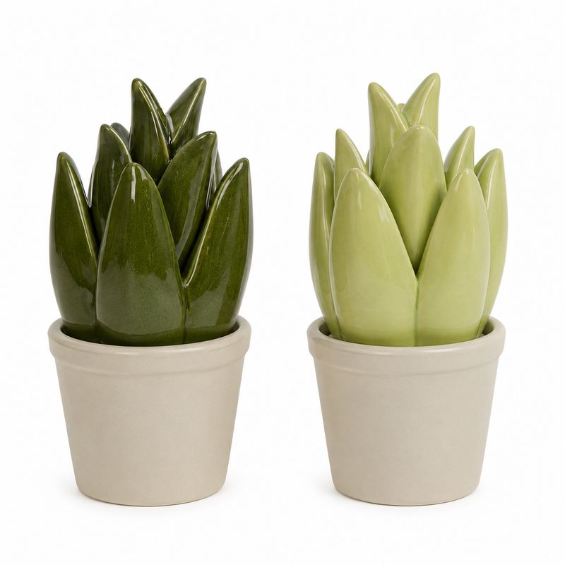 Porcelain Succulent 26cm