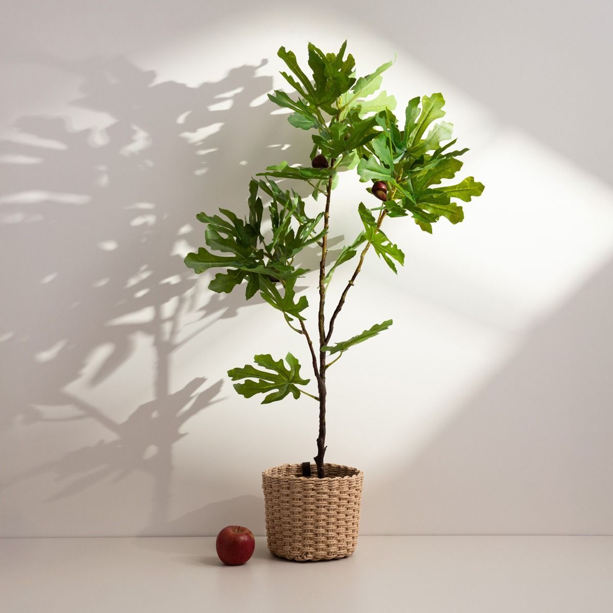 Artificial Fig Tree In Pot Fig 85cm Artificial Fig Tree In Pot Fig 85cm