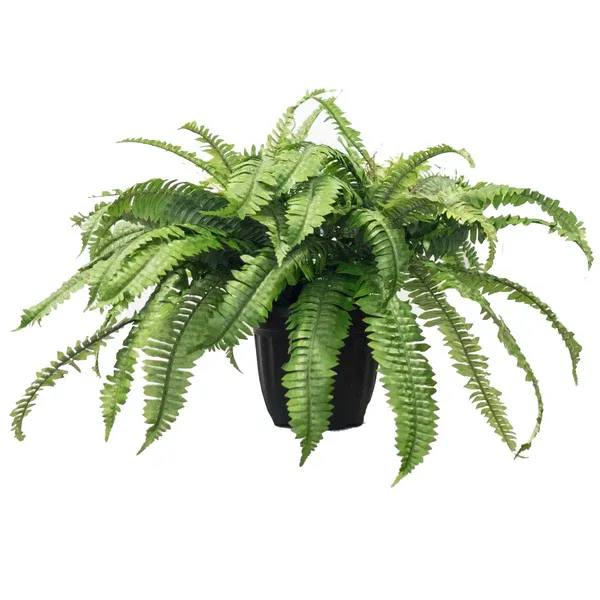 Leaf Simulated Fern Artificial 92x25x2cm