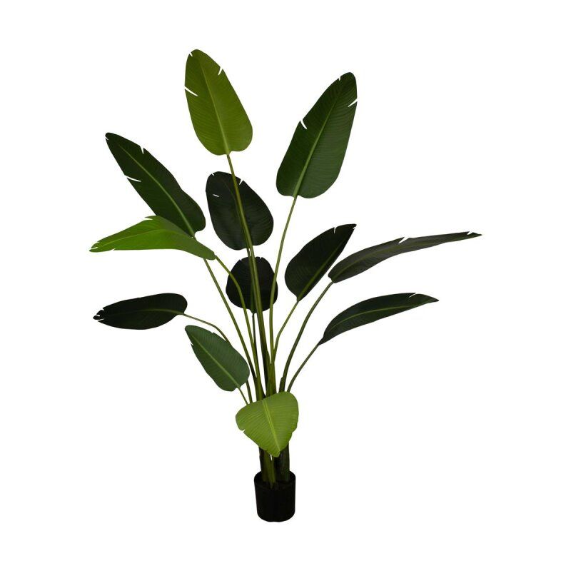 Plant Strelitzia Artificial 235cm