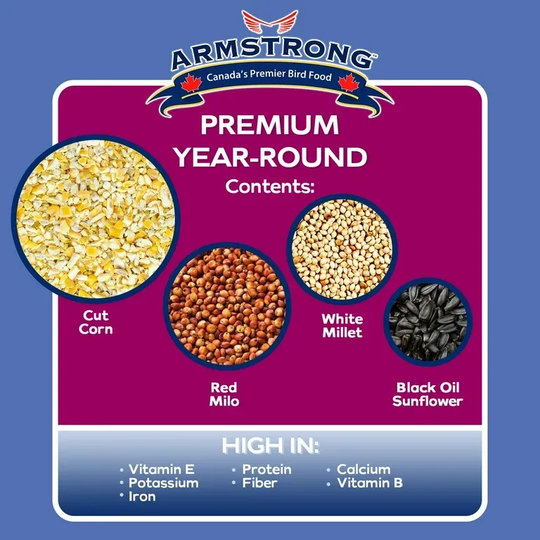 Armstrong - More Birds - Hopper Seed Feeder Ranch 1.5lbs Purple