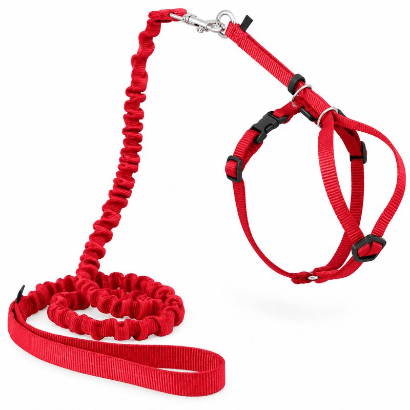 Come with Me Kitty Harness &amp; Bungee Leash