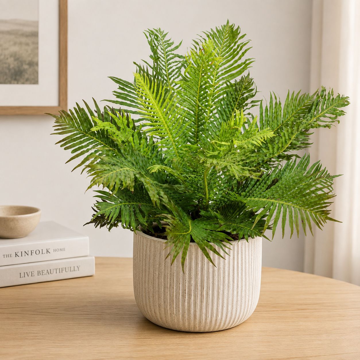 Fern Silver Lady - 6"