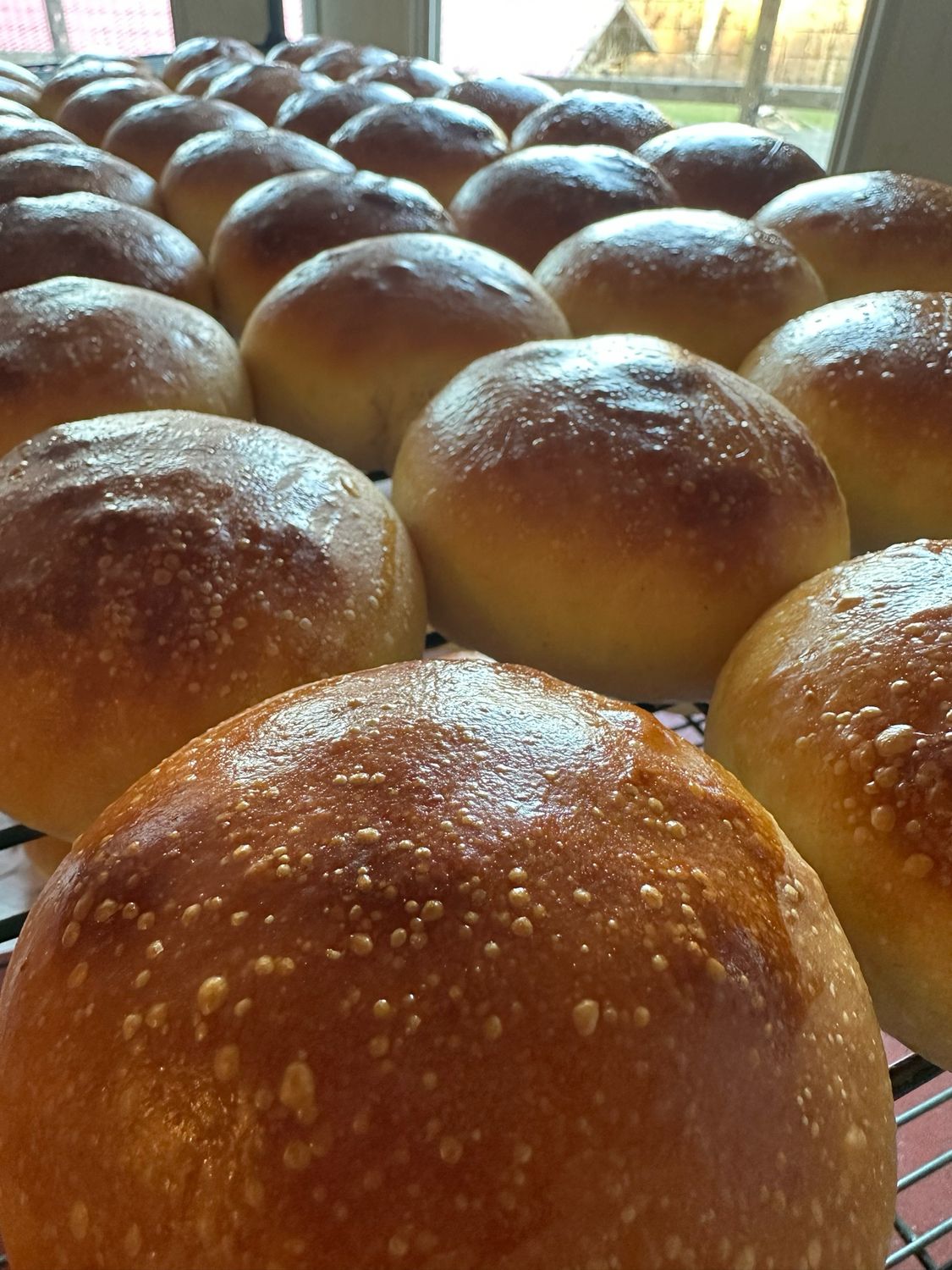 SOURDOUGH BURGER BUNS-(6-pack)Thursday and Saturday Only