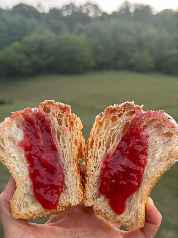 Strawberry Jelly Donut